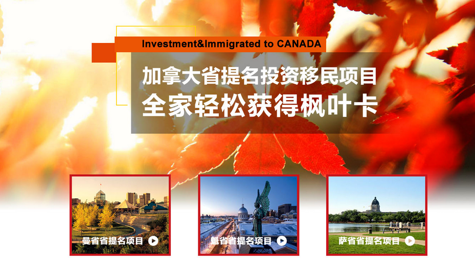 投資移民加拿大，加拿大福利政策